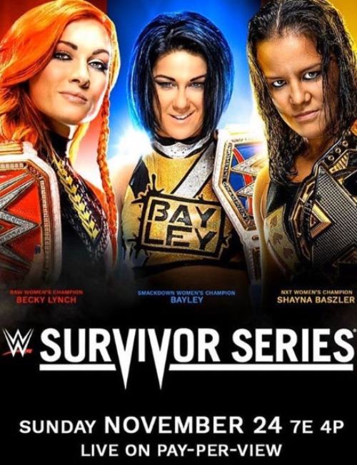 WWE Survivor Series Poster 