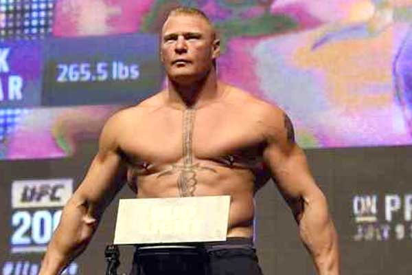 lesnar 