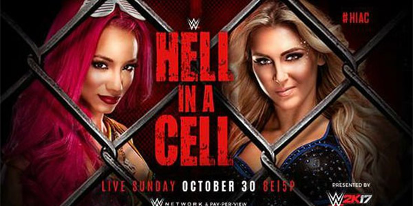 hell in a cell poster