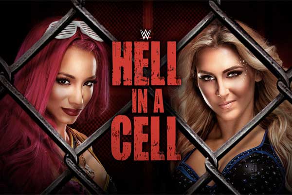 hell in a cell