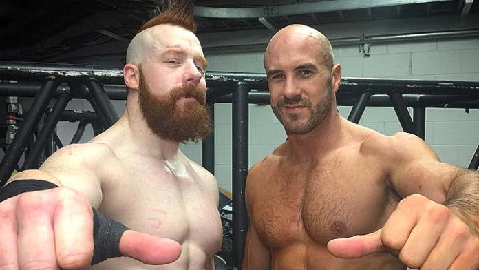 sheamus cesaro