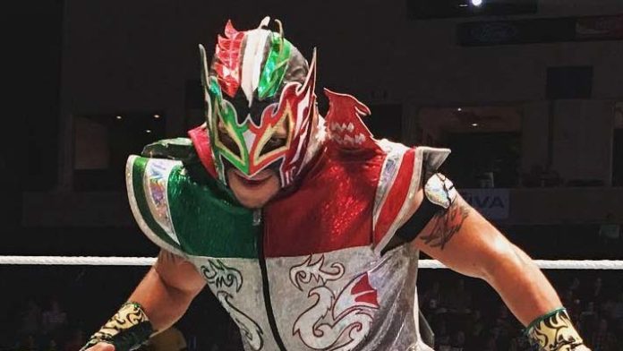 kalisto