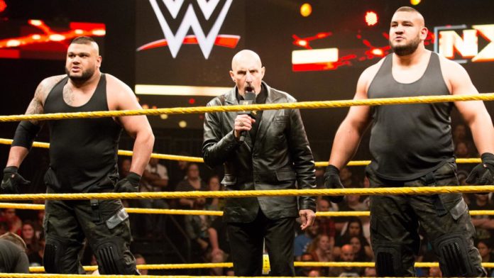 Authors Of Pain