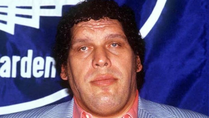 andre the giant