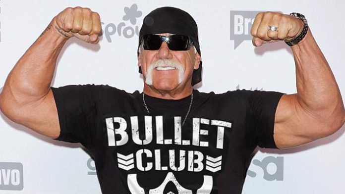 Hulk Hogan Bullet Club