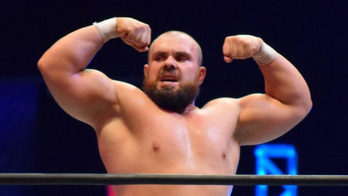 Michael Elgin 