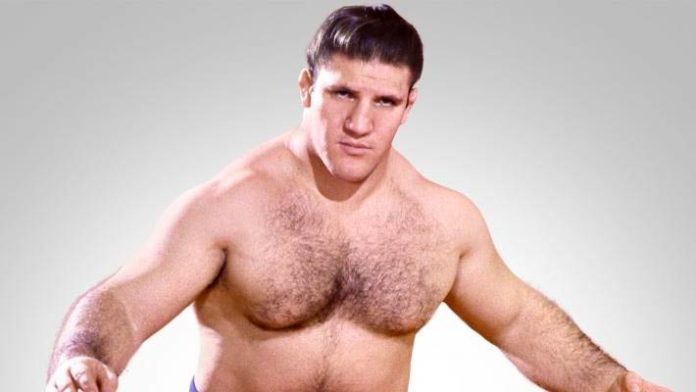 Bruno Sammartino