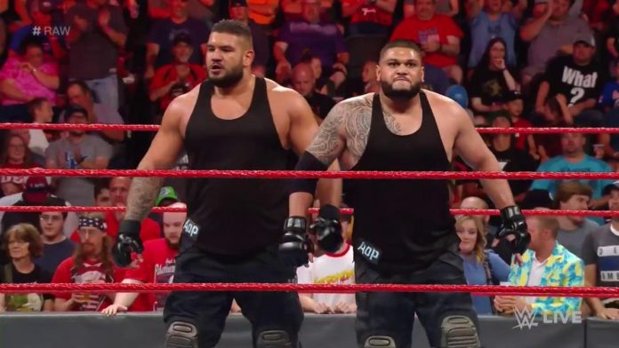 Authors of Pain RAW 