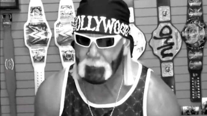 Hollywood Hogan