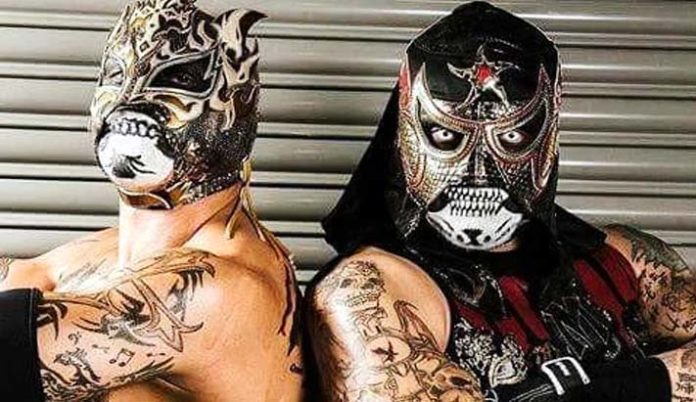 pentagon-fenix-lucha-brothers