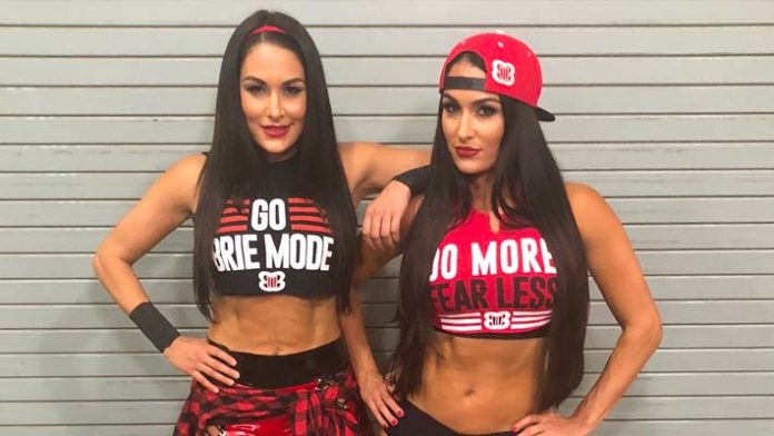 The Bella Twins