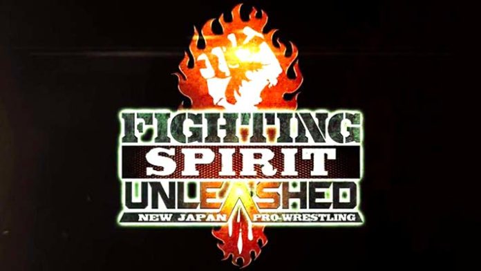 Fighting Spirit Unleashed