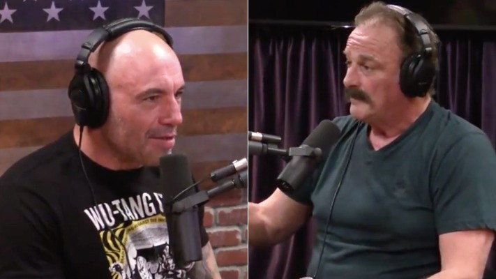 Jake Roberts Joe Rogan