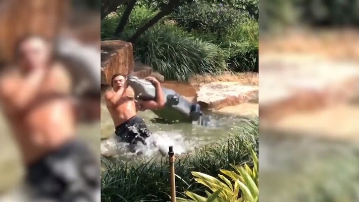 gator rko