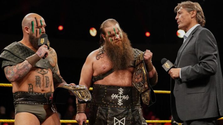 viking raiders nxt