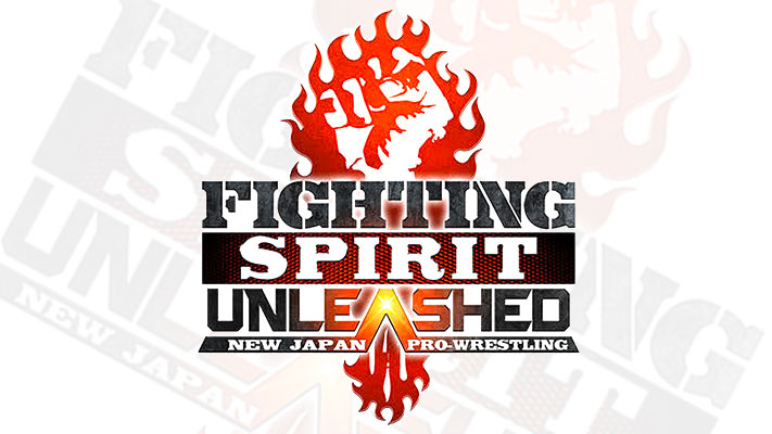 fighting spirit unleashed