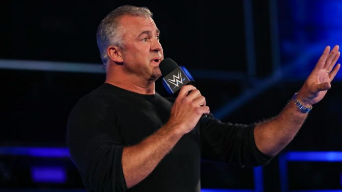 shane mcmahon smackdown 