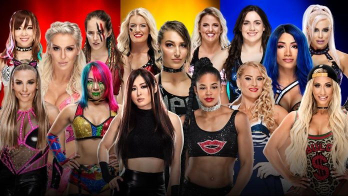 women s survivor series match