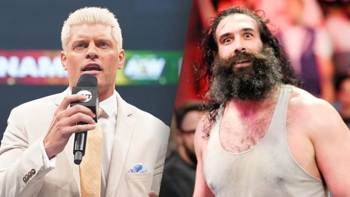 Cody Rhodes Luke Harper