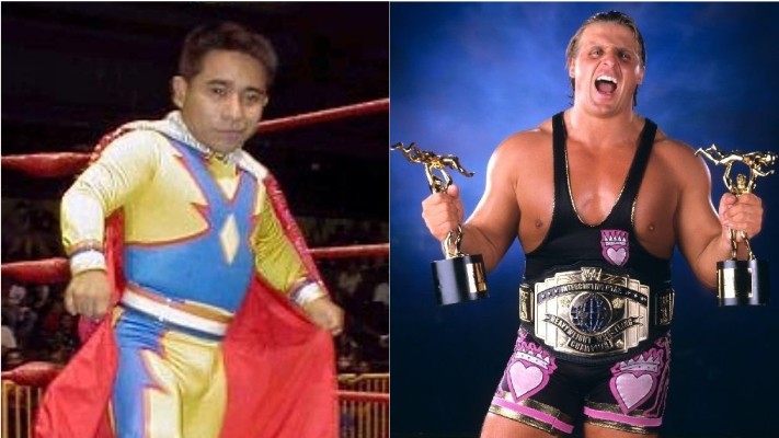 Owen Hart Max Mini