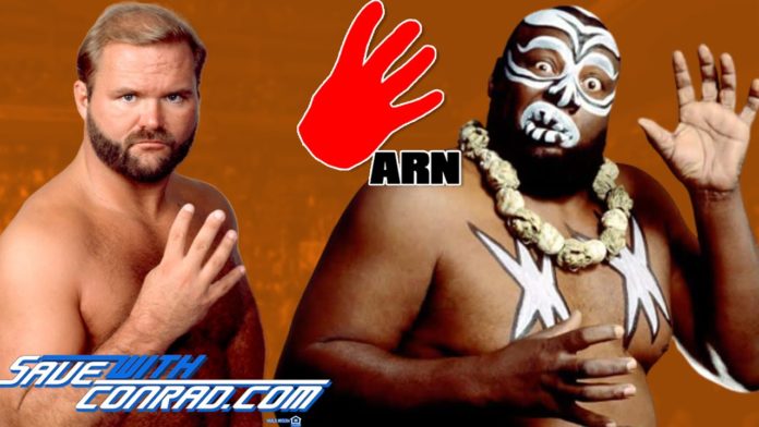 Arn Anderson Kamala