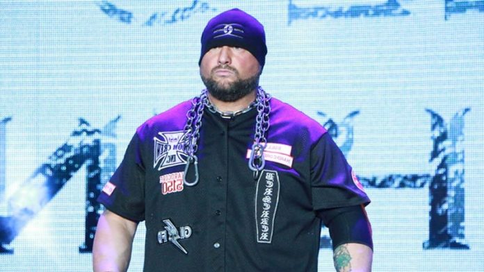 Bully Ray