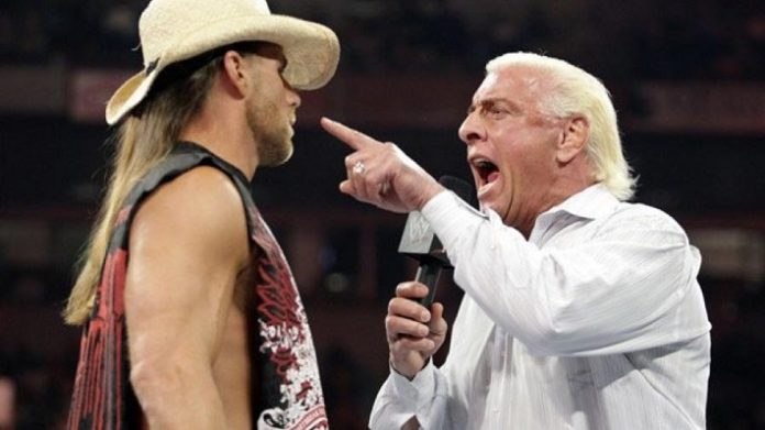 Ric Flair and Shawn Michaels