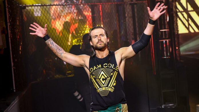 Adam Cole BayBay