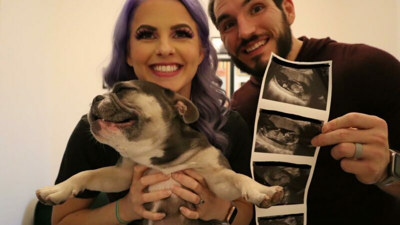 Candice LeRae & Johnny Gargano Are Expecting A Baby