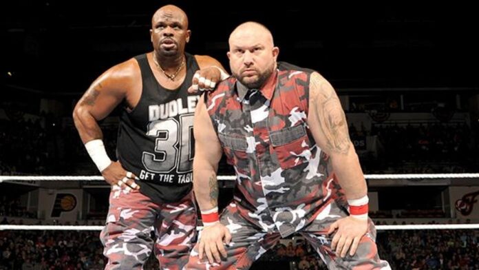 Bully Ray Dudley Brothers