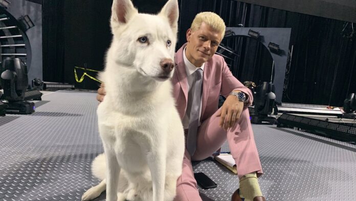 Cody Rhodes and Pharaoh