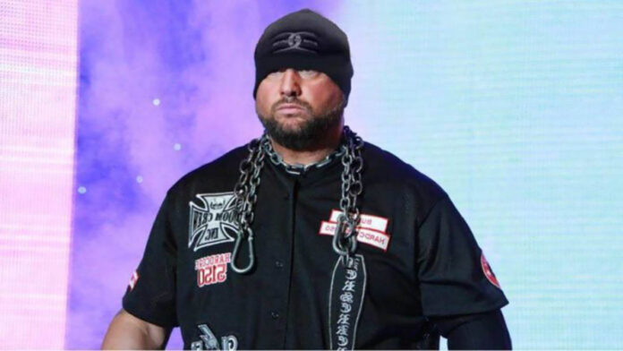 Bully Ray