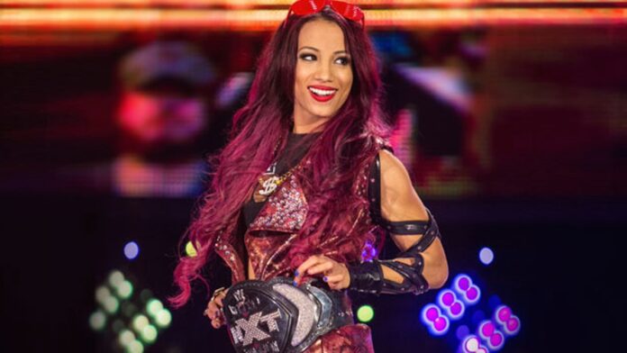 Sasha Banks NXT