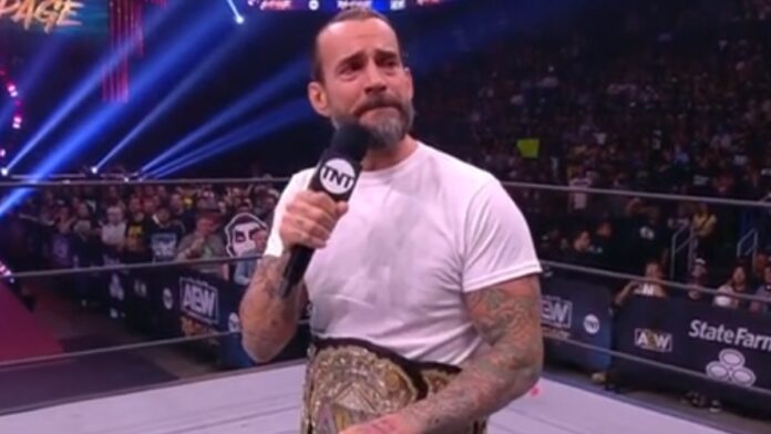 CM Punk