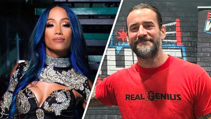 Sasha Banks and CM Punk