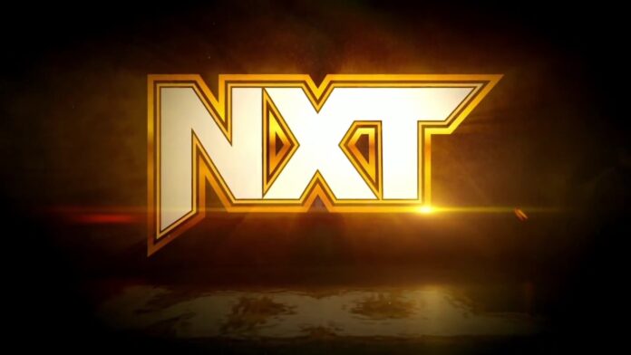 NXT Black and Gold