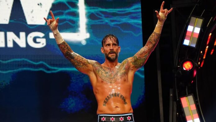 CM Punk on stage