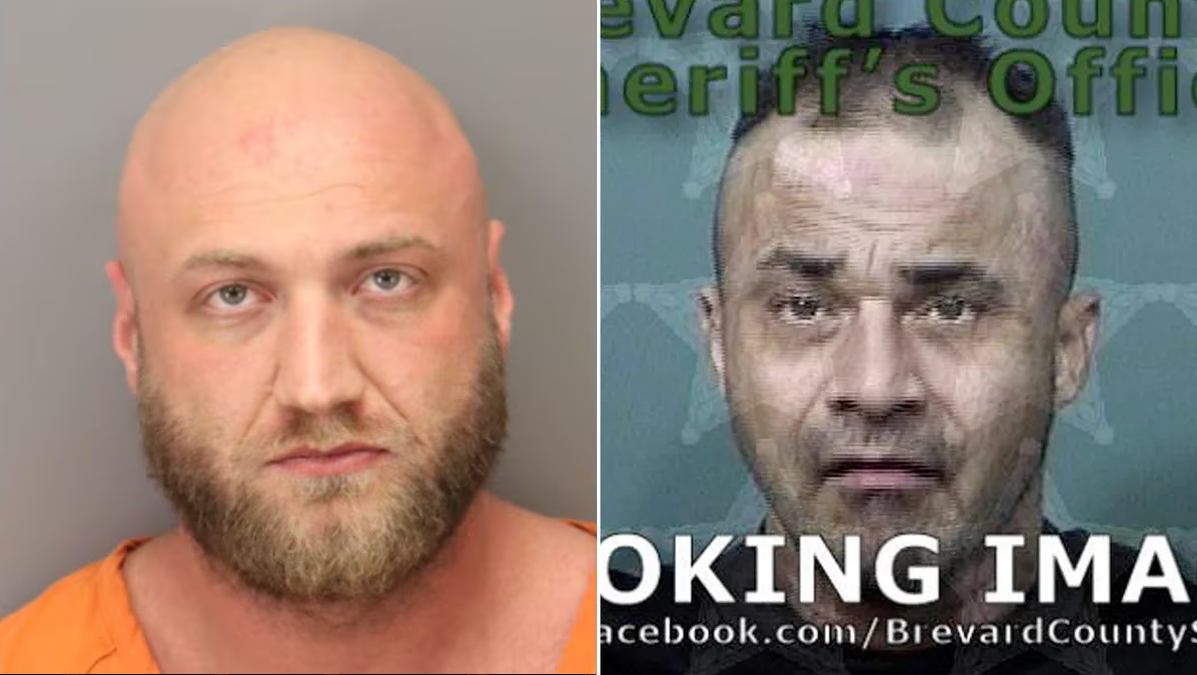 Latest On Nick Hogan & Teddy Hart After Recent Arrests