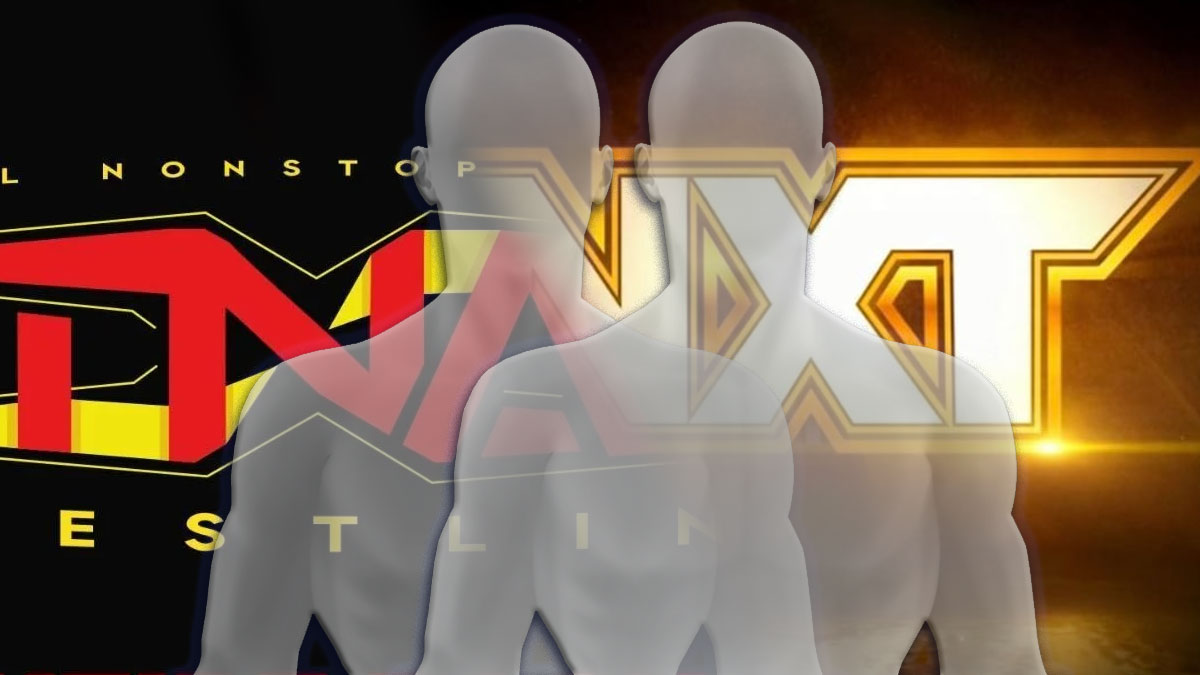 Former IMPACT & NXT Star Set For Court Appearance