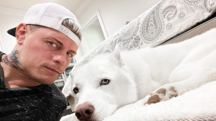 Cody Rhodes and Pharaoh