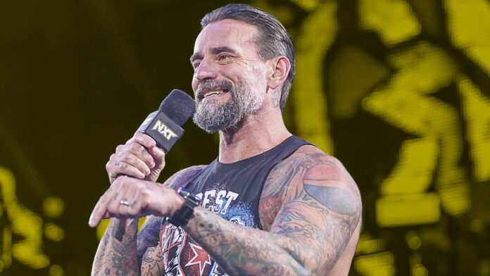 WWE NXT, CM Punk